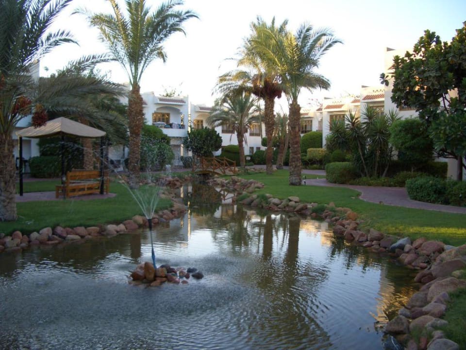 Blick in die Gartenanlage Dive Inn Resort