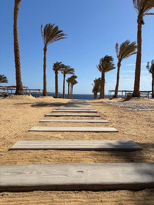 Strand Steigenberger Resort Alaya Marsa Alam - Red Sea - Adults only