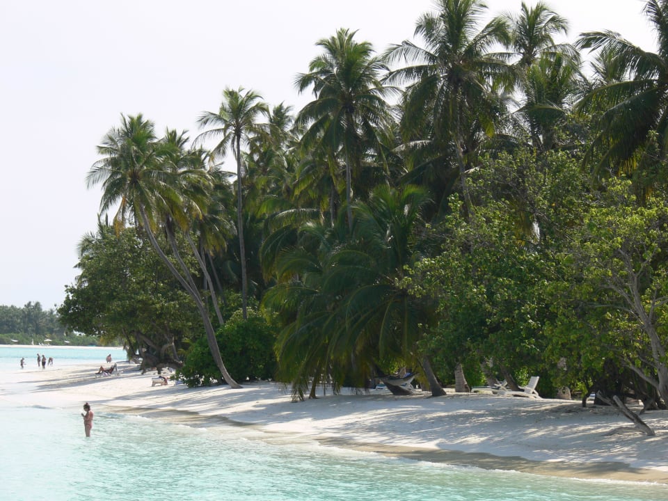 Meeru Island Resort Meeru Maldives Resort Island