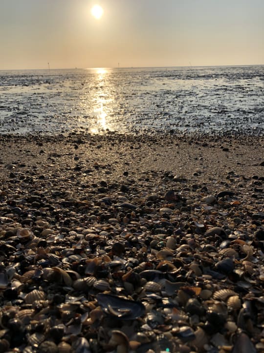 Strand NordseeResort Hotel Arche Noah