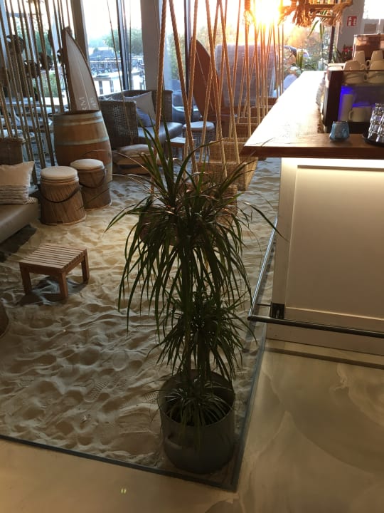 Gastro PAPA RHEIN - Hotel & Spa