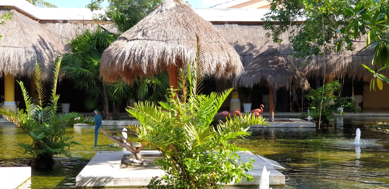 Garten Iberostar Waves Paraiso del Mar