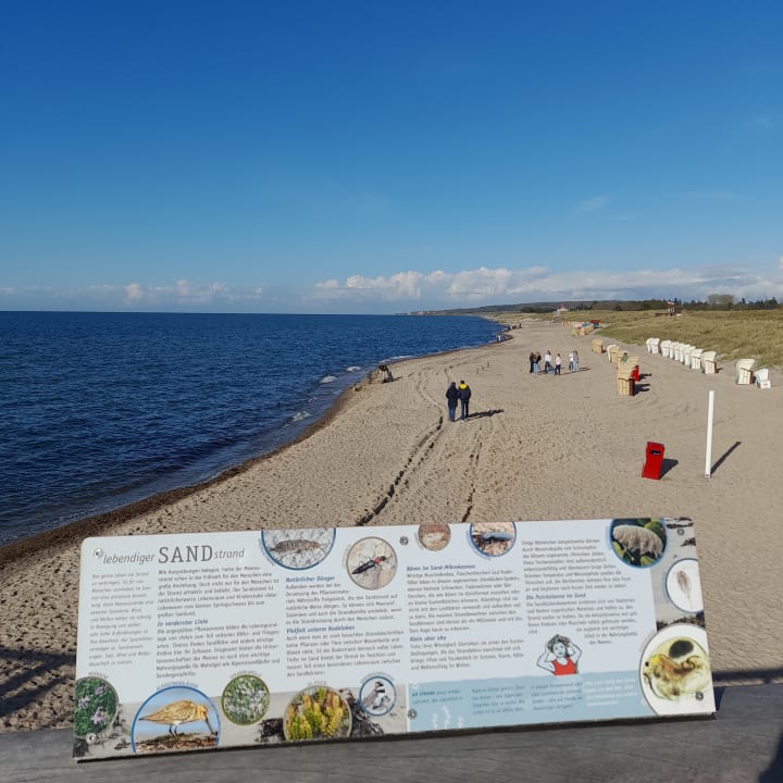 Strand Ferienwohnungen Ferienpark Weissenhäuser Strand