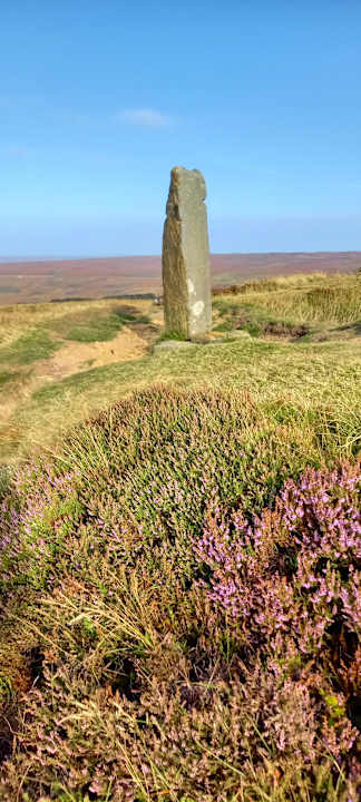 Ausblick The Lion Inn, Blakey Ridge