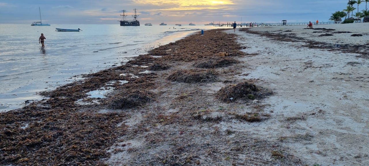Strand whala!bávaro