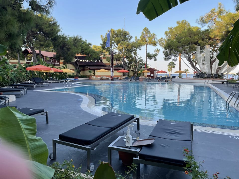 Pool ROBINSON ÇAMYUVA
