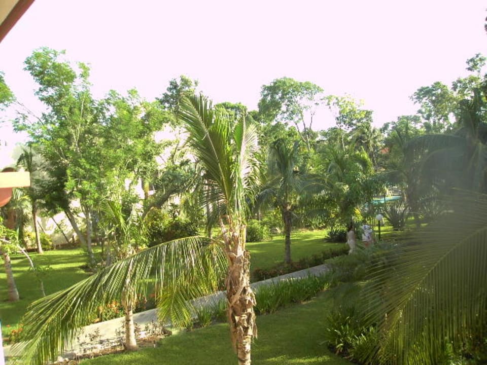 Vom Hotelzimmer aus Hotel Riu Tequila