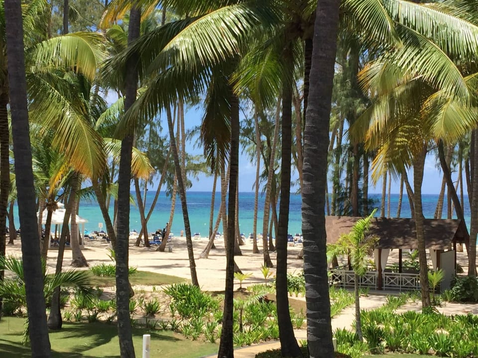 Ausblick vom Balkon Vista Sol Punta Cana
