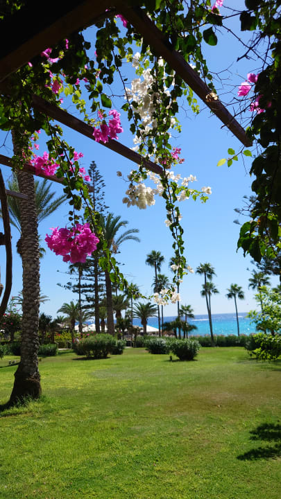 Gartenanlage Hotel Nissi Beach Resort