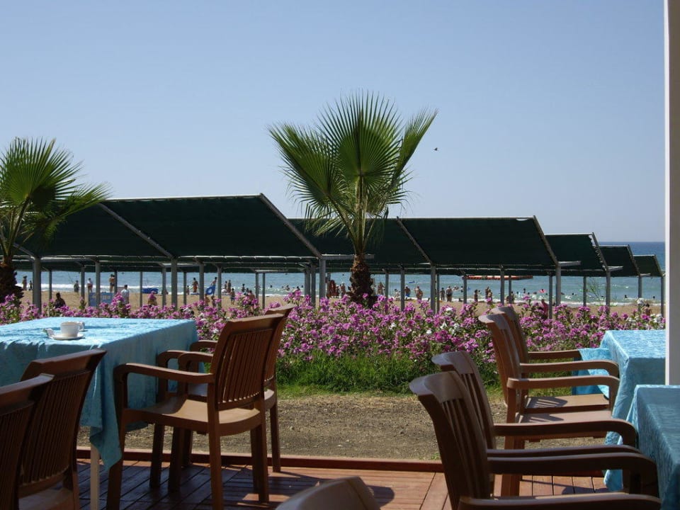 Strandbar VONRESORT Golden Beach