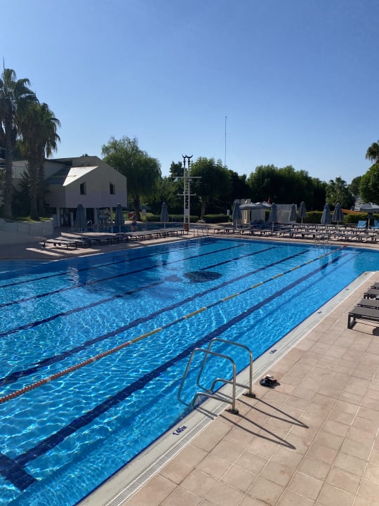 Pool ROBINSON PAMFILYA