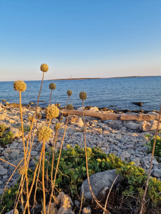 Ausblick TUI KIDS CLUB Punta Prima