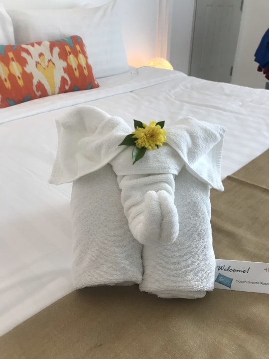 Zimmer Ocean Breeze Resort