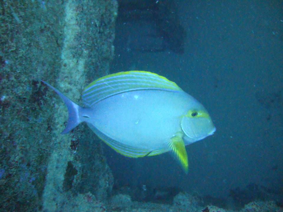 Sport & Freizeit Crystals Beach Resort Belle Mare, a member of Radisson Individuals