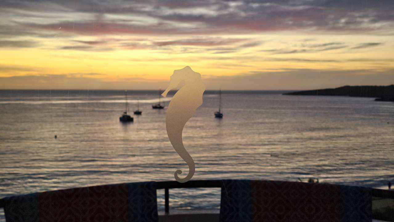 Ausblick Hipotels Hipocampo Playa