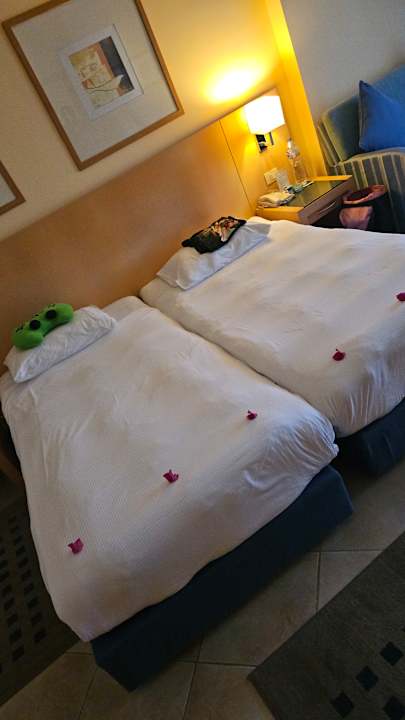 Zimmer Cleopatra Luxury Resort Makadi Bay