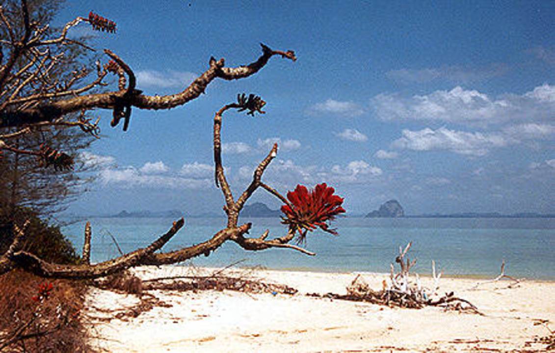 Strandidylle Koh Hai Fantasy Resort & Spa