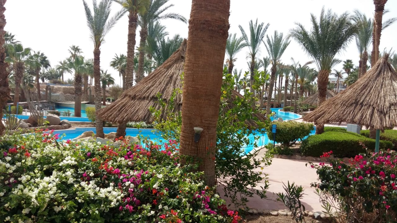 Gartenanlage Pickalbatros Golf Beach Resort