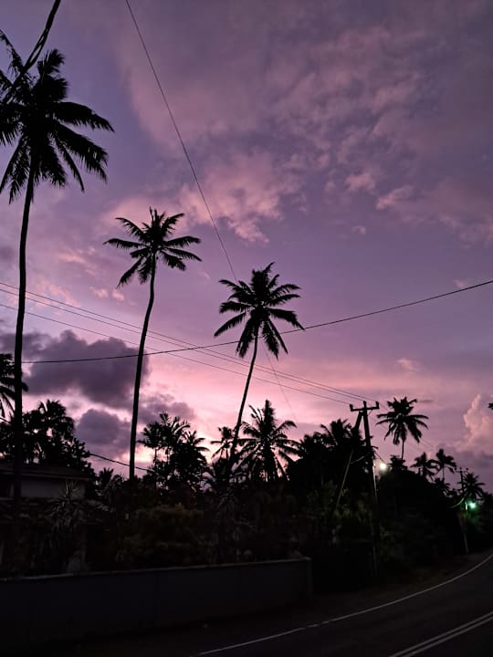 Ausblick Jungle Beach Camp Ahungalla