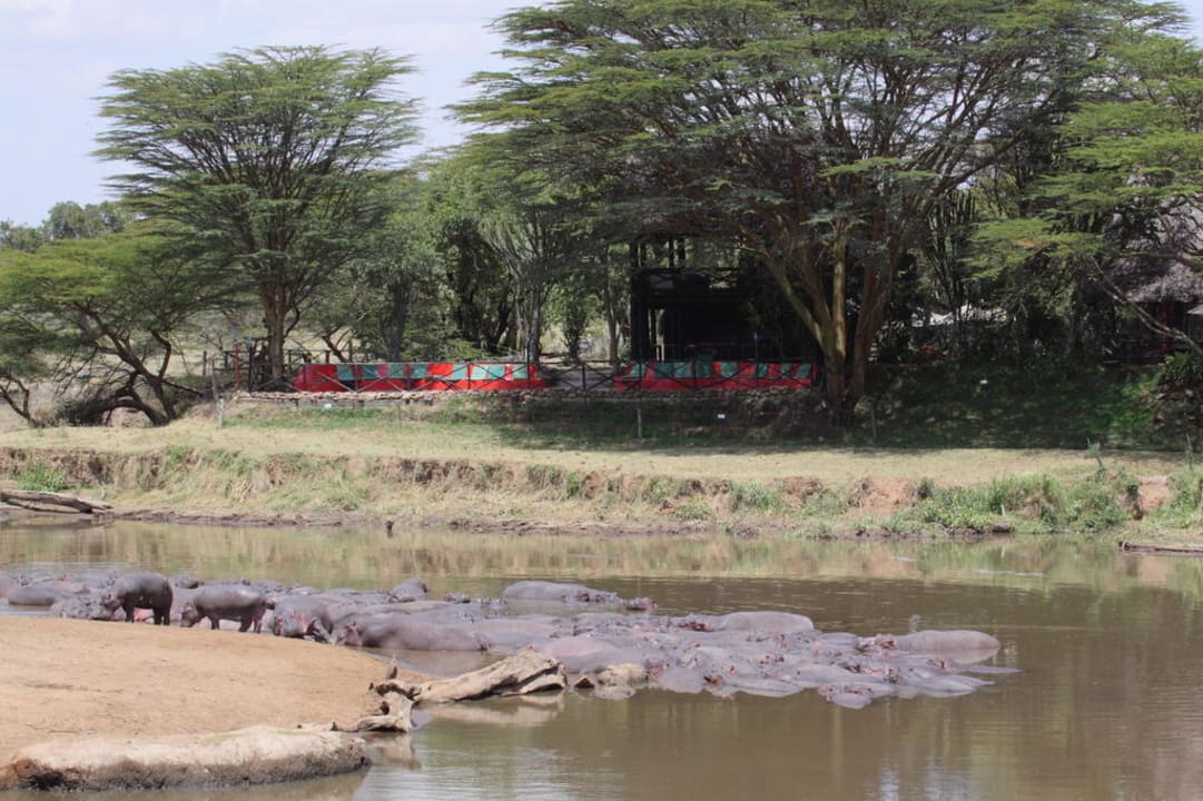 Blick auf das Restaurant David Livingstone Safari Lodge