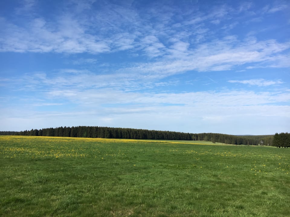 Sonstiges waldhotel AUSZEIT