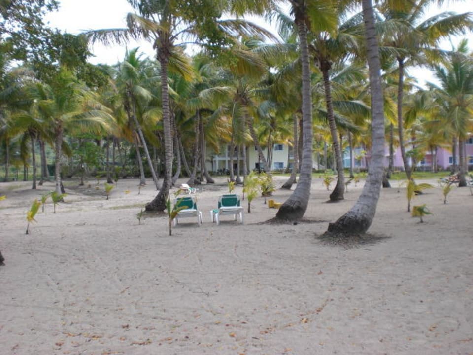 Strand Playabachata Hotel