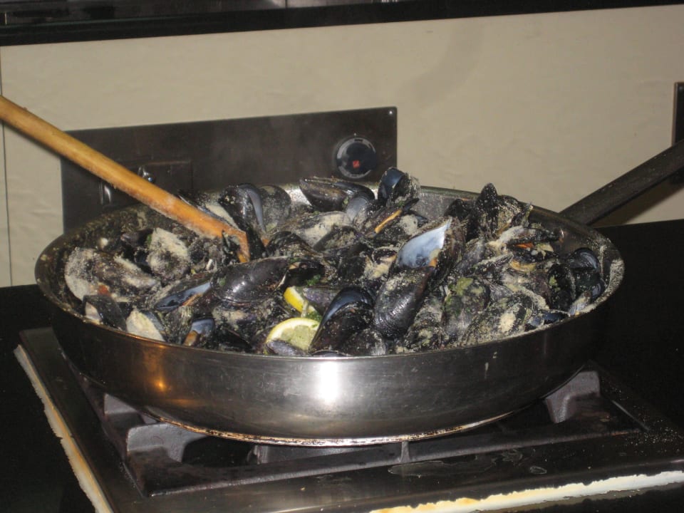 Für Fischfans Valamar Parentino Hotel