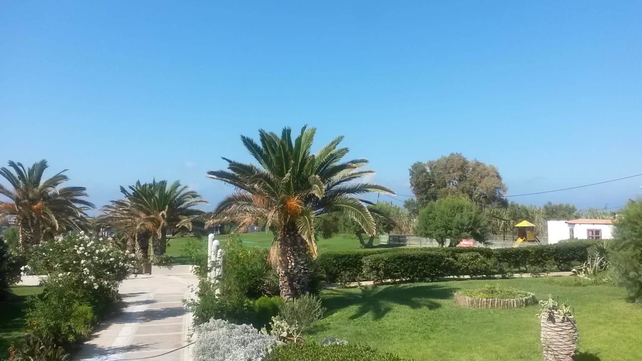 Viele wunderschöne Pflanzen Santa Marina Beach