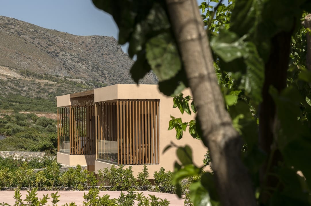 Zimmer The Nest Resort