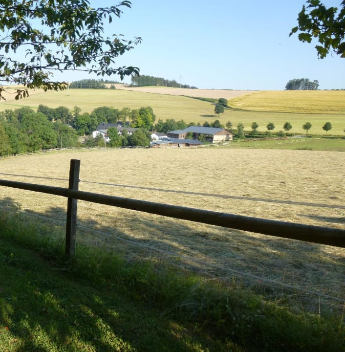 Wanderroute durch den "Zauberwald" Familienhotel Ebbinghof