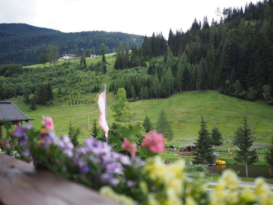 Ausblick Frühstückspension Gästehaus Elisabeth