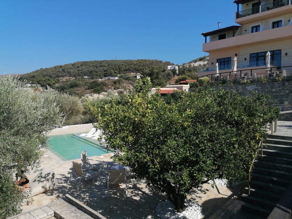 Pool Hotel Forest Park