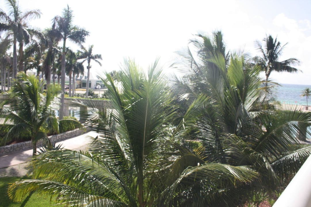 Zimmer mit Meerblick Hotel Sheraton & Westin At Our Lucaya