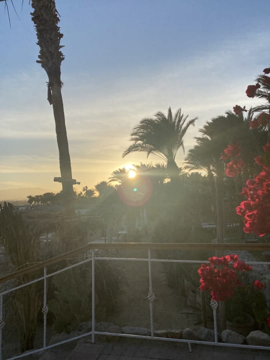 Ausblick Fort Arabesque Resort, Spa & Villas