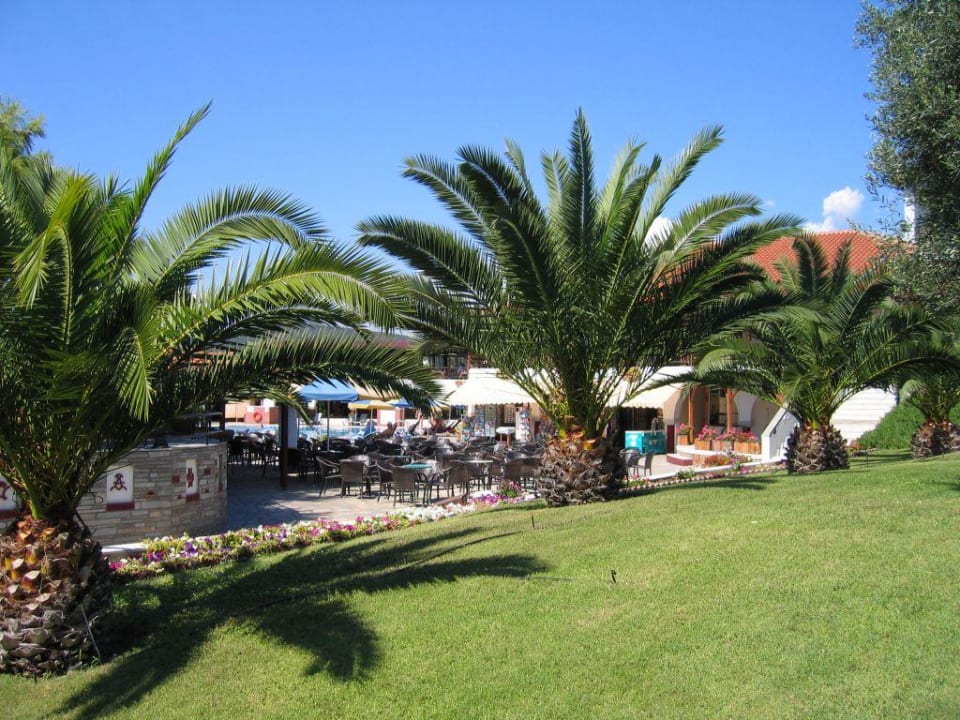 Gartenanlage Blue Dolphin Resort Hotel