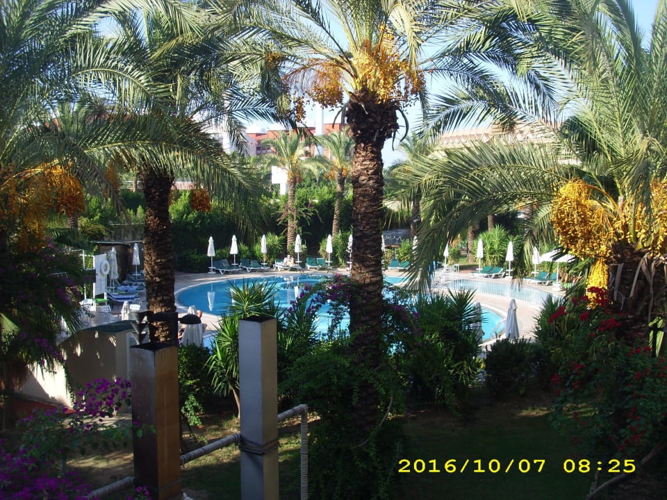 Schöner Garten Calimera Hane Garden