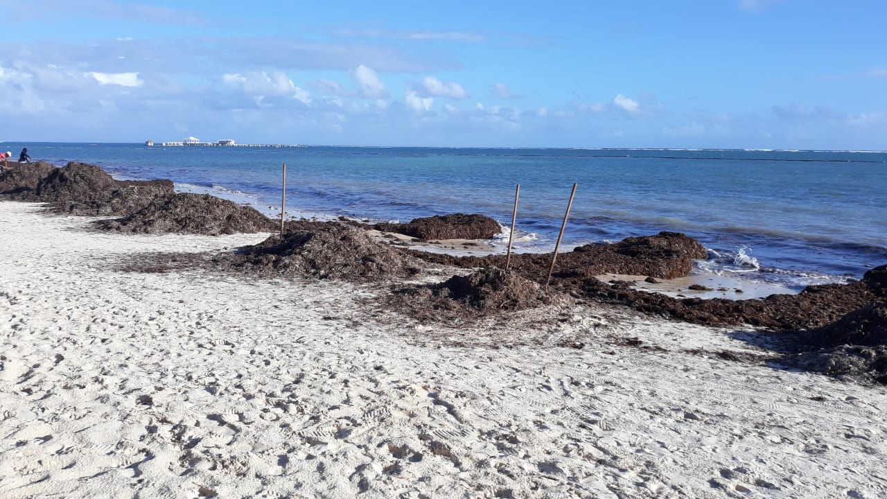 Strand Serenade Punta Cana Beach & Spa resort