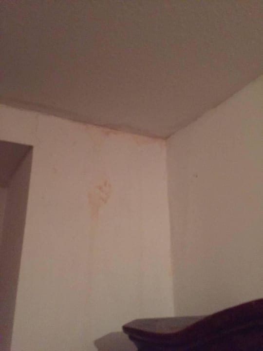 Stockflecken Landgasthof Auerschmiede