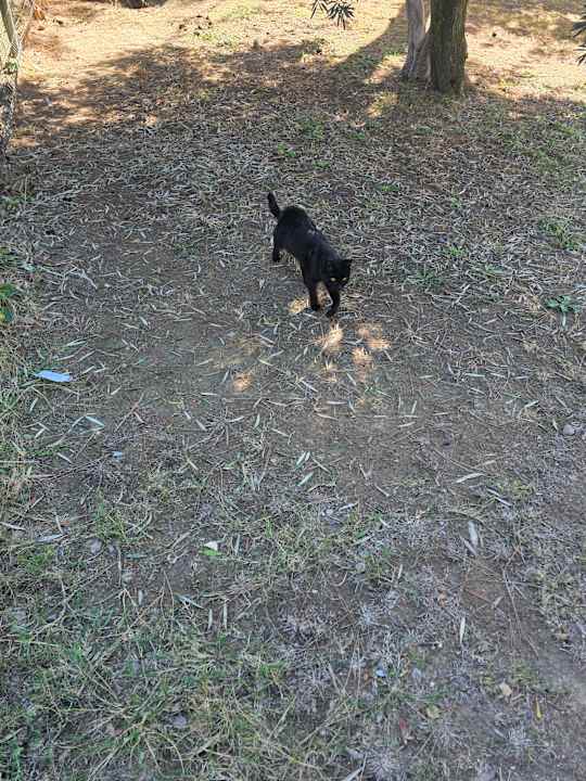 Sonstiges Arcanus Hotels Sorgun