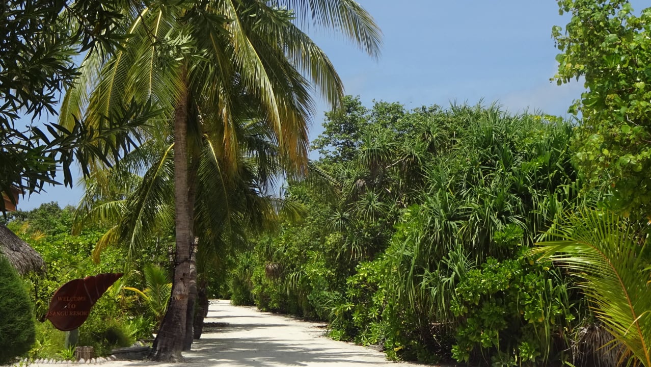 Weg durch die Insel alles schön grün Kuredu Island Resort & Spa