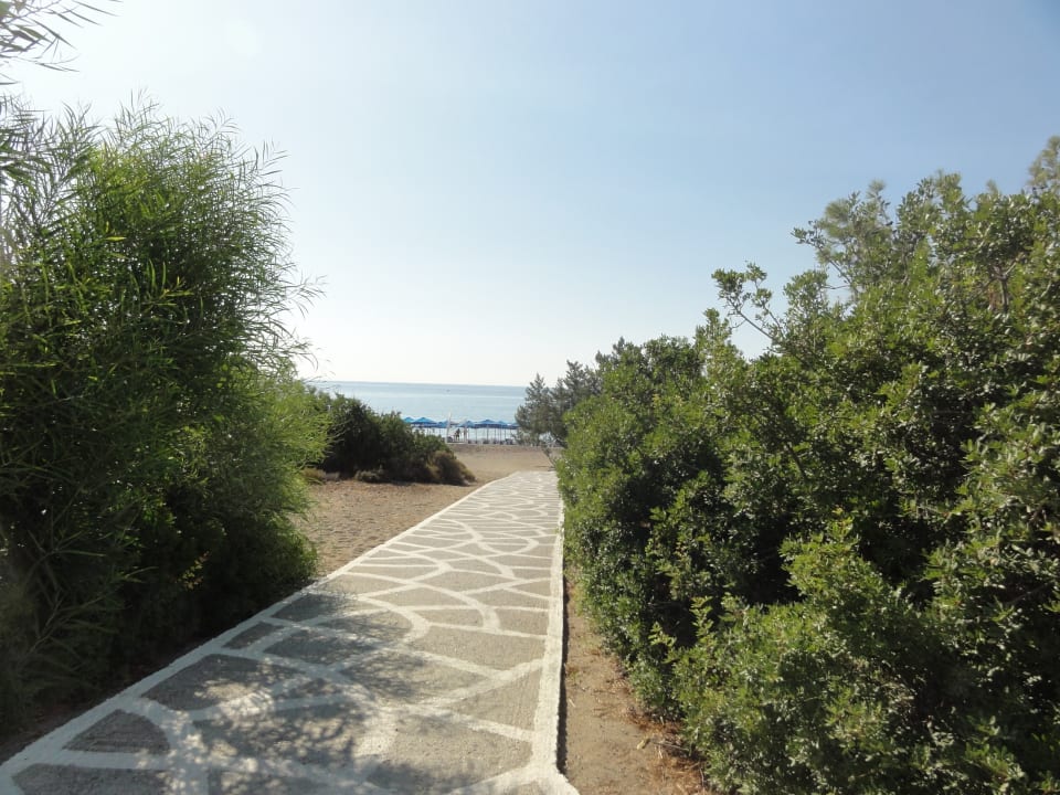 Ausblick Mitsis Rodos Village