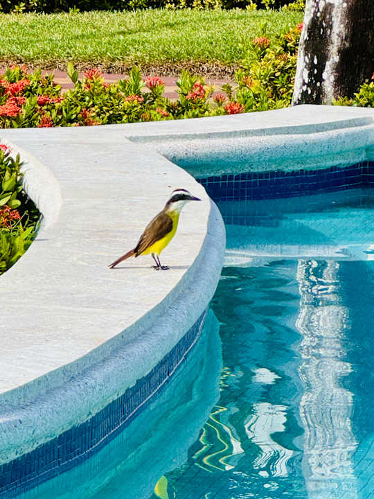 Außenansicht Hotel Riu Palace Riviera Maya