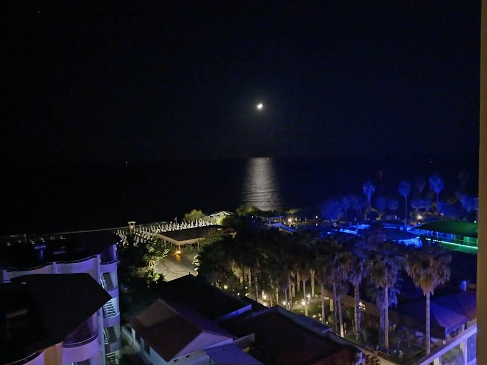 Ausblick Hotel Royal Garden Beach