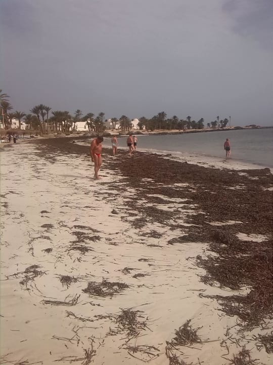 Strand Hotel El Mouradi Djerba Menzel