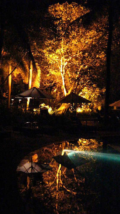 Banyan Baum und Pool The Laguna A Luxury Collection Resort & Spa