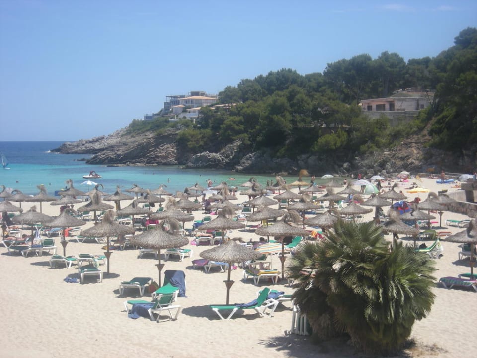 Strand Iberostar Waves Pinos Park