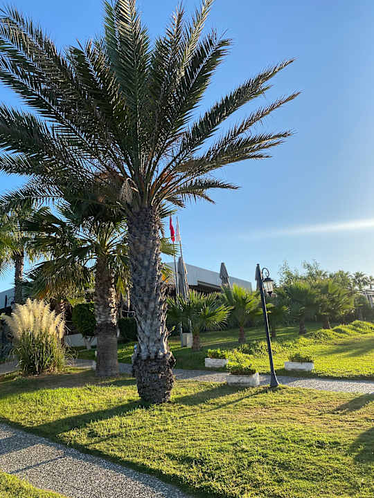 Strand Bella Resort & Spa