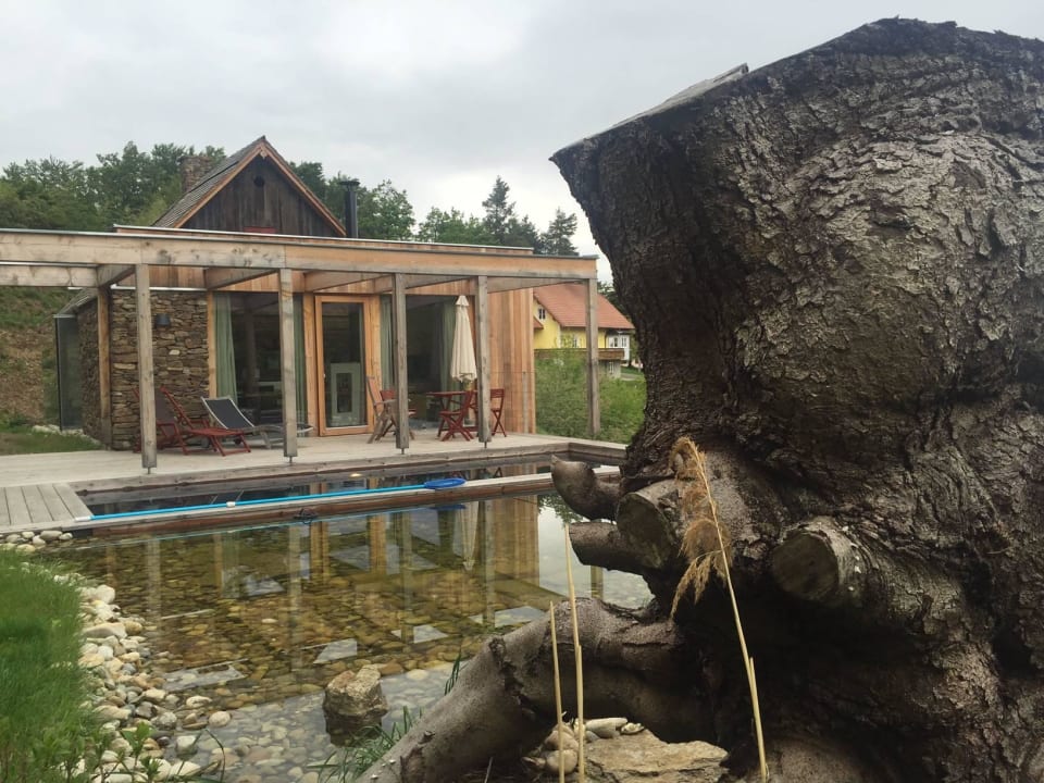 Naturteich, Pool u. Terrasse PURESLeben Premiumhaus Stadl in Altenbach