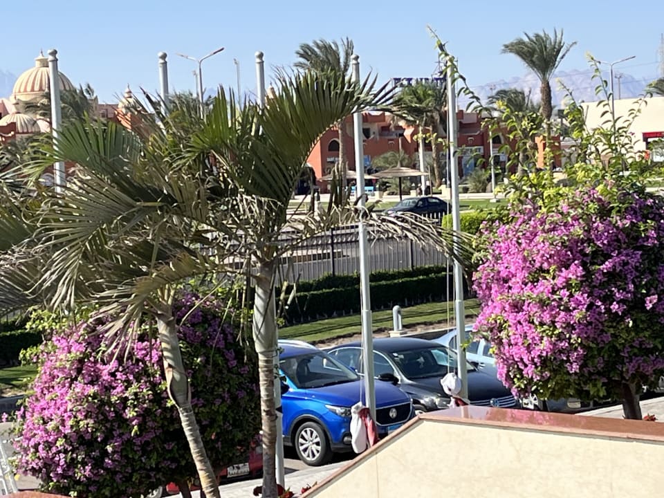 Ausblick Pickalbatros Dana Beach Resort - Hurghada