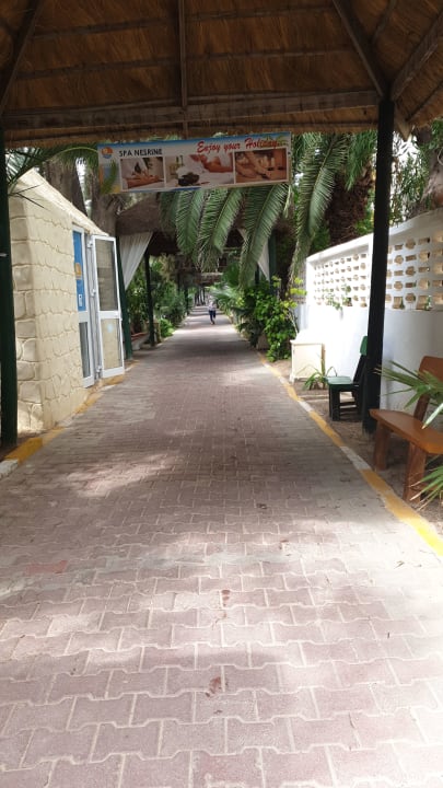 Garten Hotel Nesrine